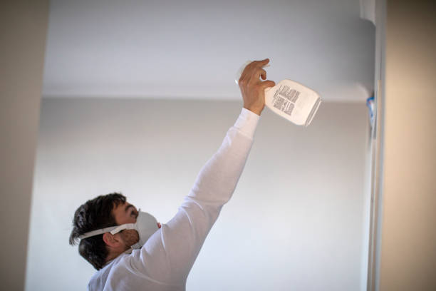 Best DIY Mold Remediation Support Services in West Union, OH