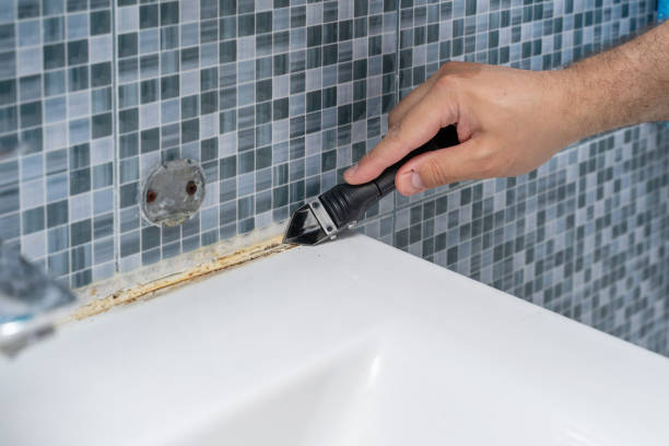 Best Preventive Mold Services in West Union, OH